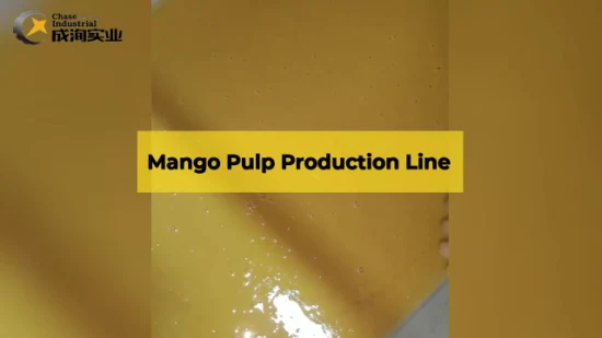 220L Aseptic Package Chili Sauce Mango / Pineapple Paste Jam Making Processing Line