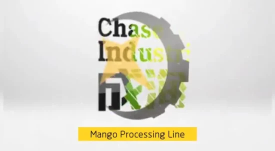 Mango Paste Processing Equipment Form Chase